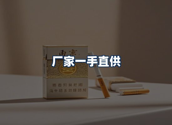 专业团队办公环境